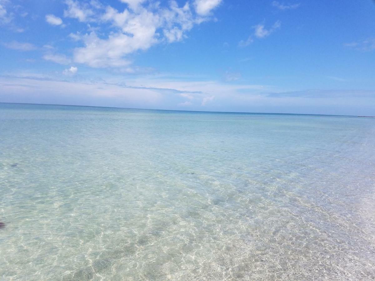 Amazing Panoramic Beach View And The Most Beautiful Sunset Longboat Key Dış mekan fotoğraf